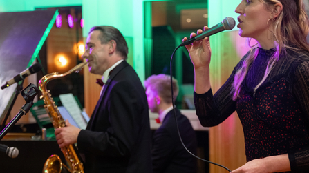 Saxofonist und Sängerin im grünen Rampenlicht