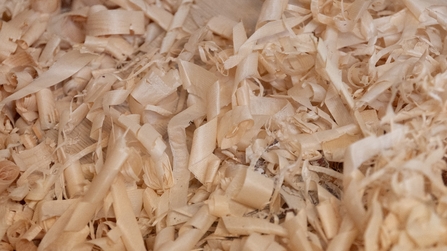 Sägespäne in der Holzwerkstatt des KBBW